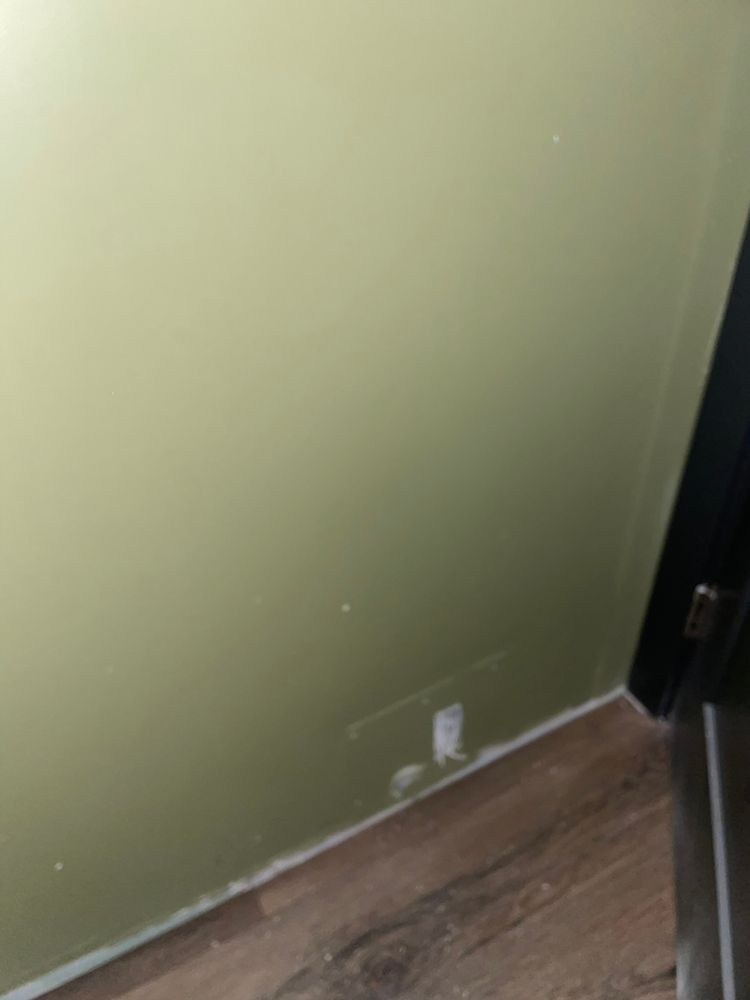 All Photos for Tony's Remodeling & Painting in Renton, WA