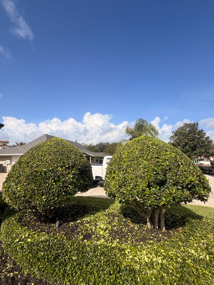 All Photos for Vanic's Landscaping in Port Orange, FL