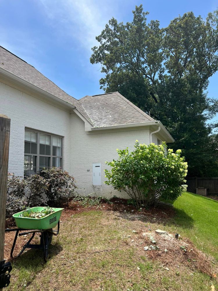 Landscaping for Amis Lawn and Landscape, LLC in Clinton, MS