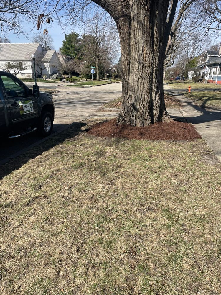 Refresh your property this season with our Spring Clean Up service. We remove branches, leaves, and debris, provide storm damage clean up, and leave your landscape neat, healthy, and ready. for MDR Landscaping in Urbana, IL