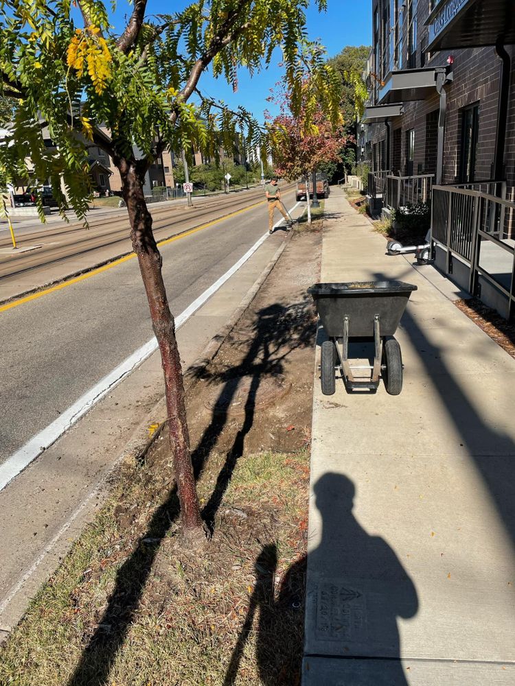 All Photos for K and Z Tree Care in Isanti County, MN