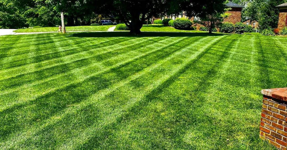 Lawn and Landscape for JKL Lawn Service in Frankfort, KY