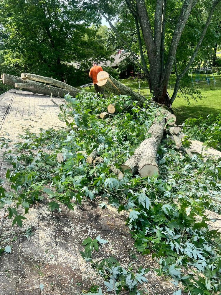 Tree Services for Kadin’s Tree Service in North Vernon, IN