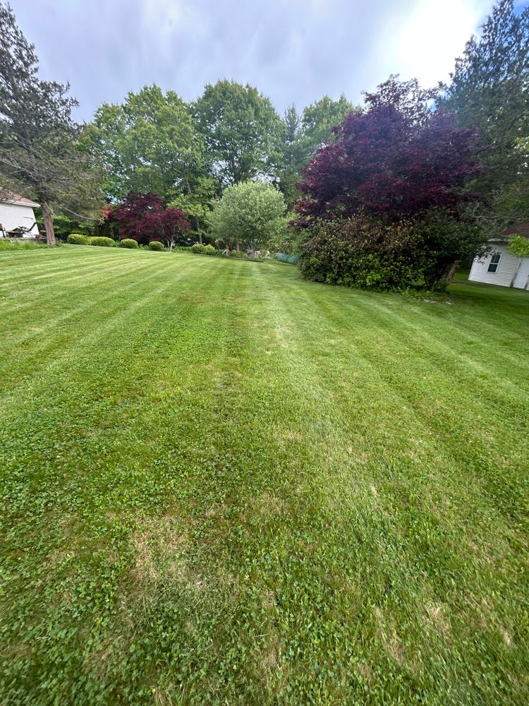 All Photos for Lucas Property Maintenance LLC in New Bedford, MA