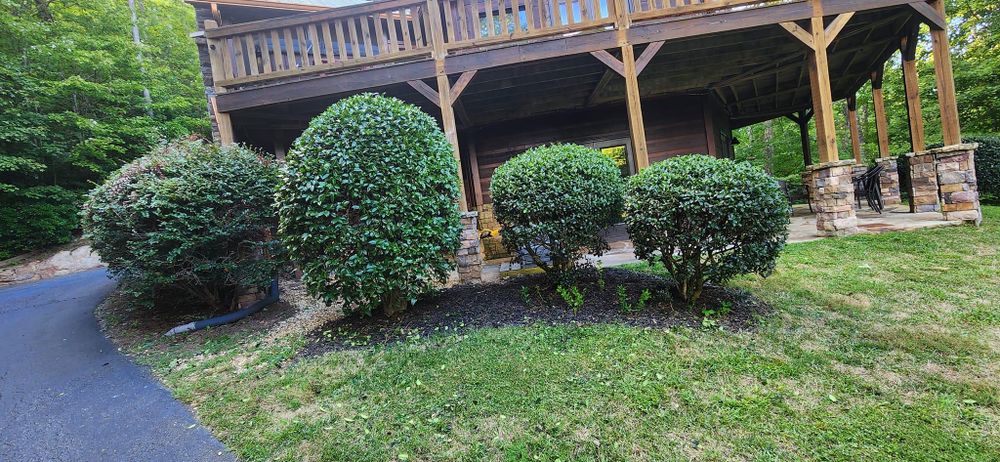 All Photos for JC Landscapers in Ellijay, GA