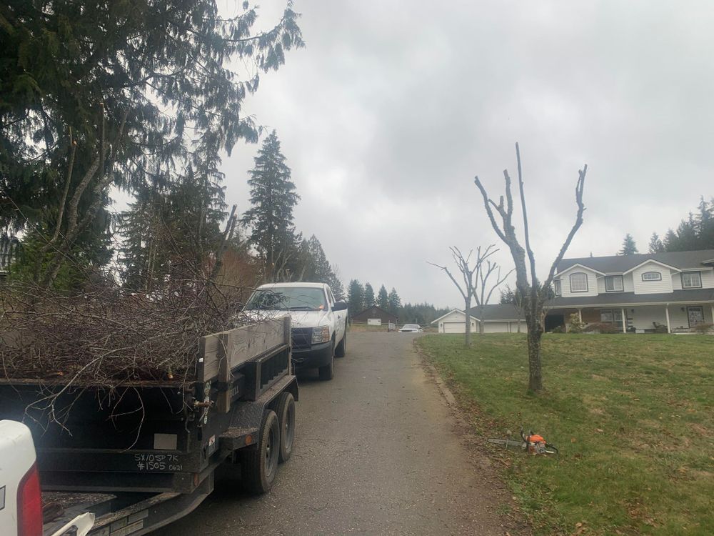 We plant and trim trees to create a beautiful landscape for your home. Our experienced team will ensure that the job is done efficiently and safely. for Avenscapes NW, LLC in , WA