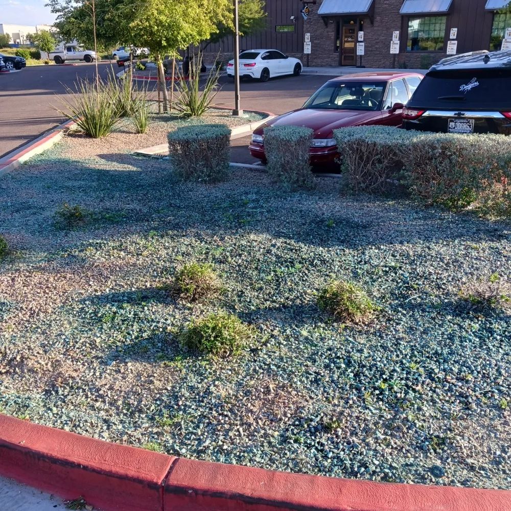 All Photos for CRAJE Landscaping LLC in Mesa, AZ