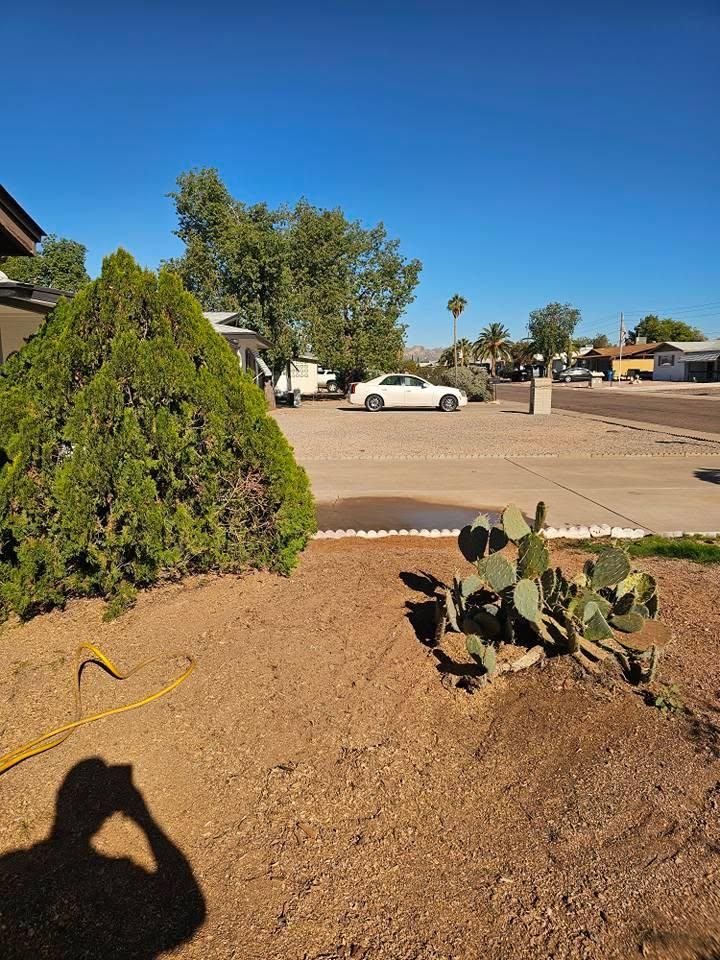 All Photos for T's Tree Service and Firewood in Apache Junction, AZ