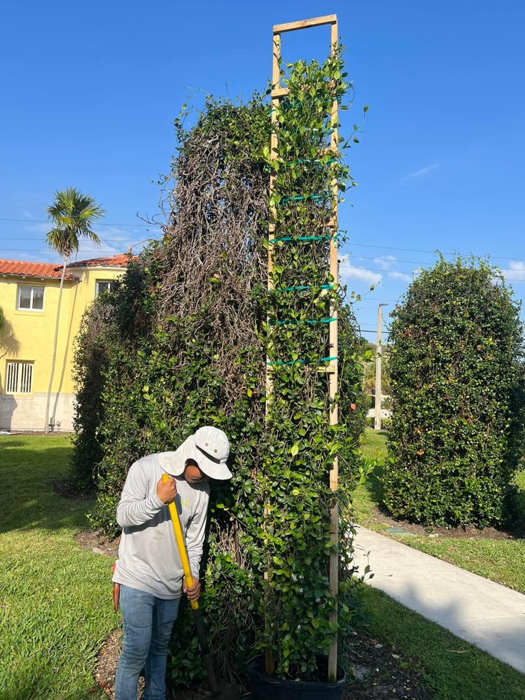 All Photos for Rey Landscaping & Lawn service LLC in West Palm Beach,  FL