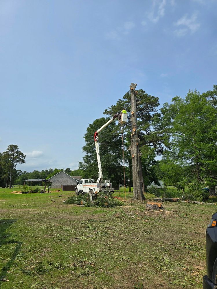 Tree Removal for Breaktime Tree Trimming & Removal in Oakdale, LA