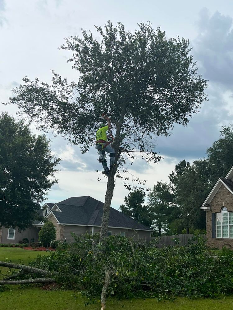 B&C Tree Trimming Services team in Jasper, FL - people or person