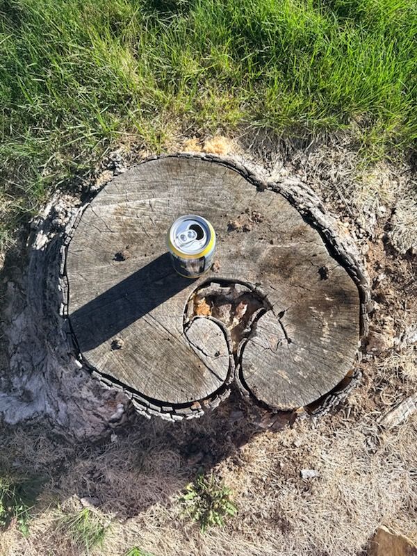 All Photos for Stump Removal and Daughters in Aurora, CO