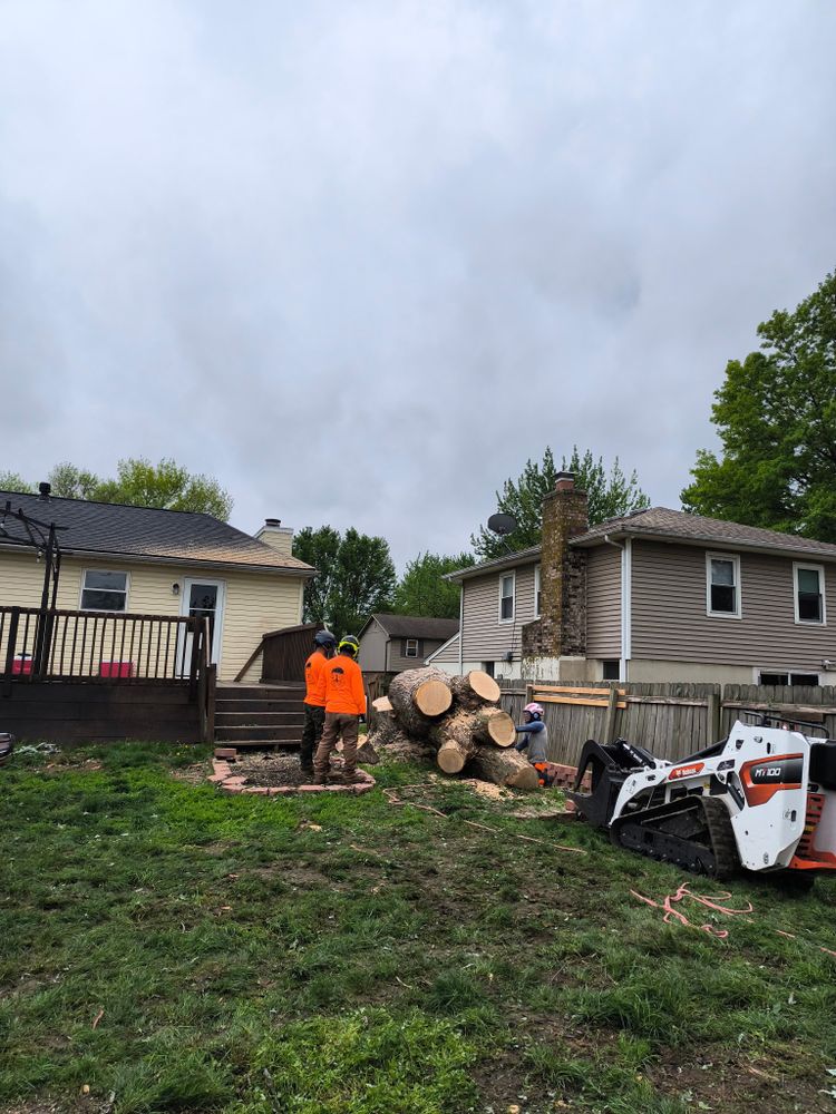 Tree Removal for Cross Family Tree Service in Kearney, MO
