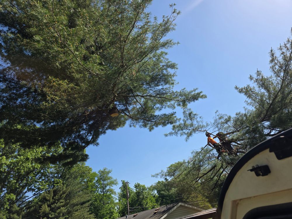 All Photos for Advanced Tree Solutions in Rockville, IN