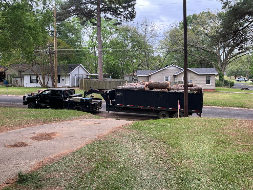 All Photos for JC Land and Tree Service in Kilgore, TX