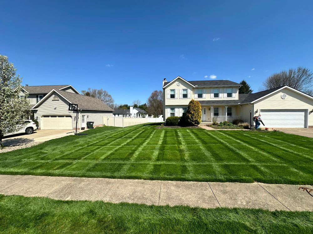 Green Stripes LLC team in North Canton, OH - people or person