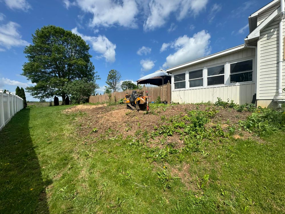 Tree Removal for Beckenbaugh Tree & Lawn Service in Lewistown, PA