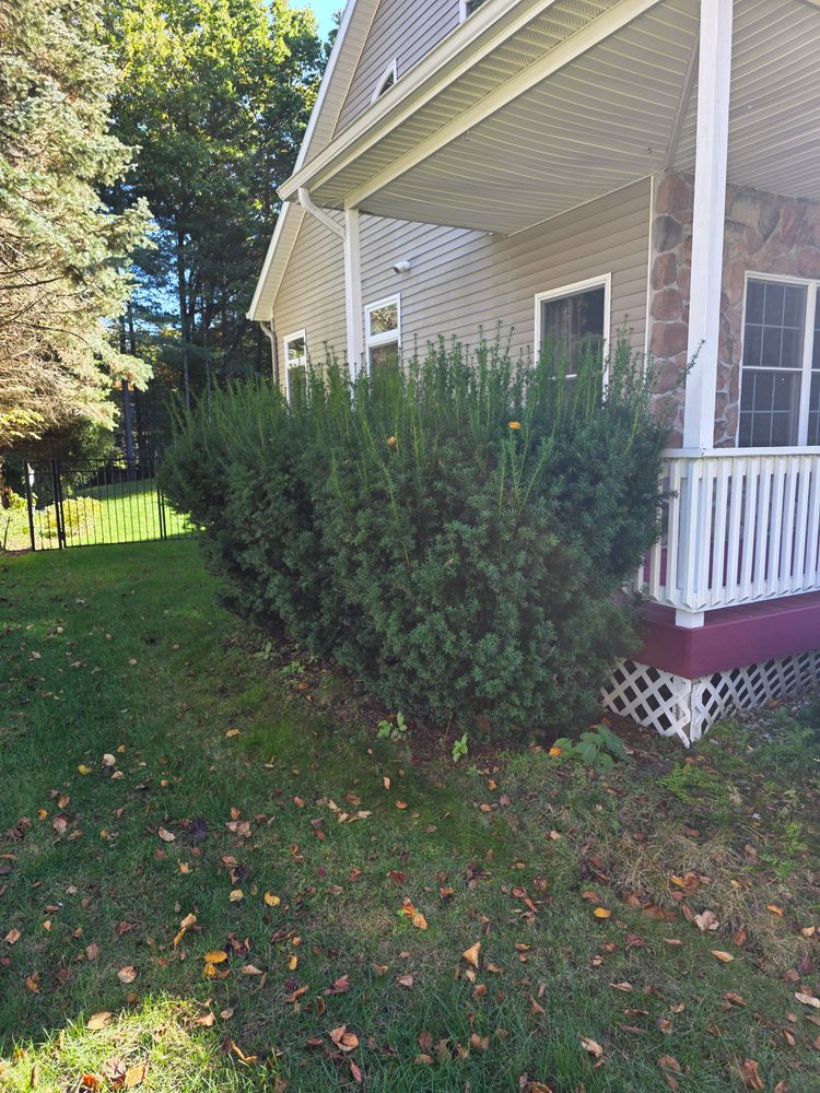 All Photos for Sweet Scapes in Ballston Spa, NY