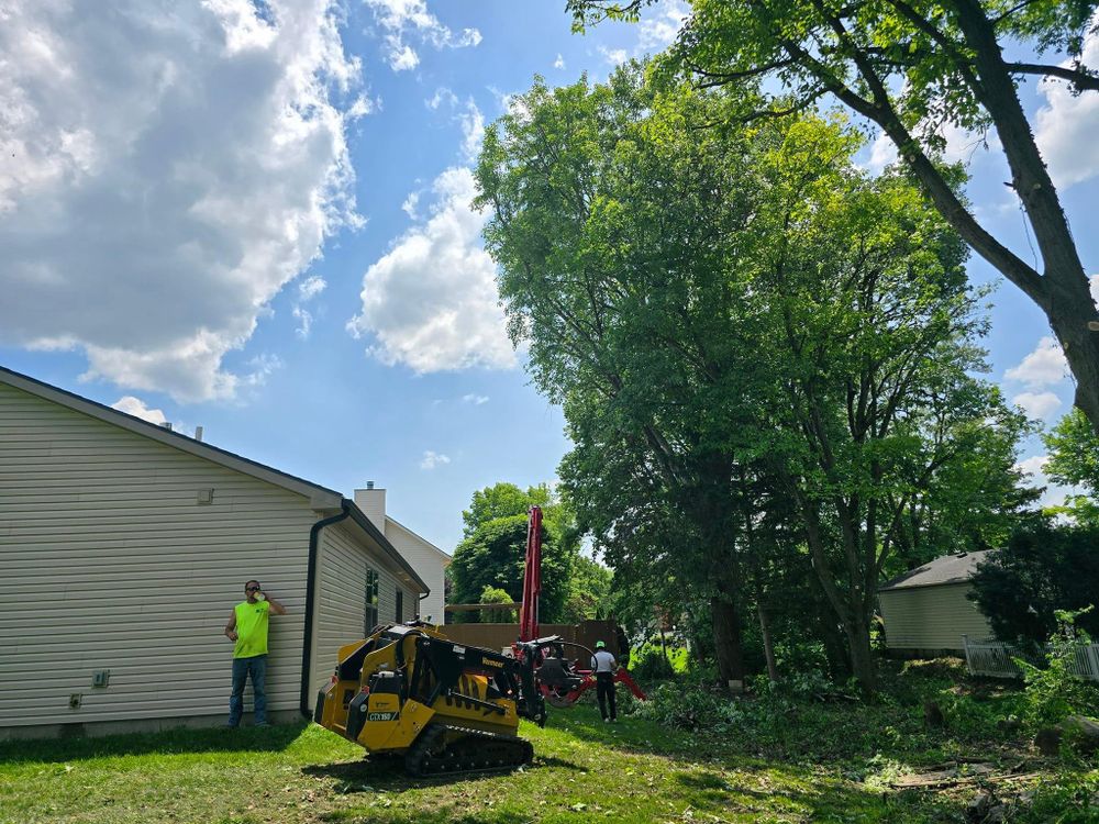 All Photos for F & F Tree Service in Beavercreek, OH