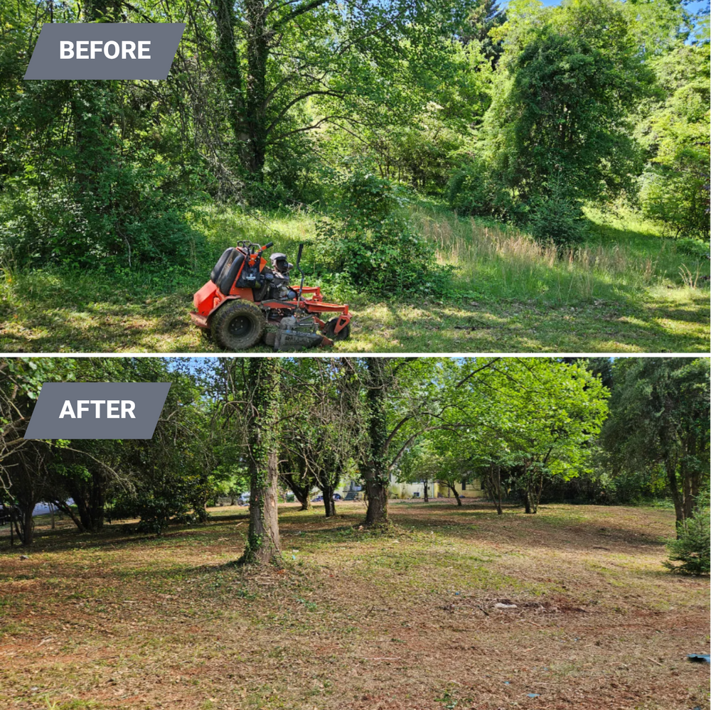 All Photos for Browns Grounds in Culpeper, VA