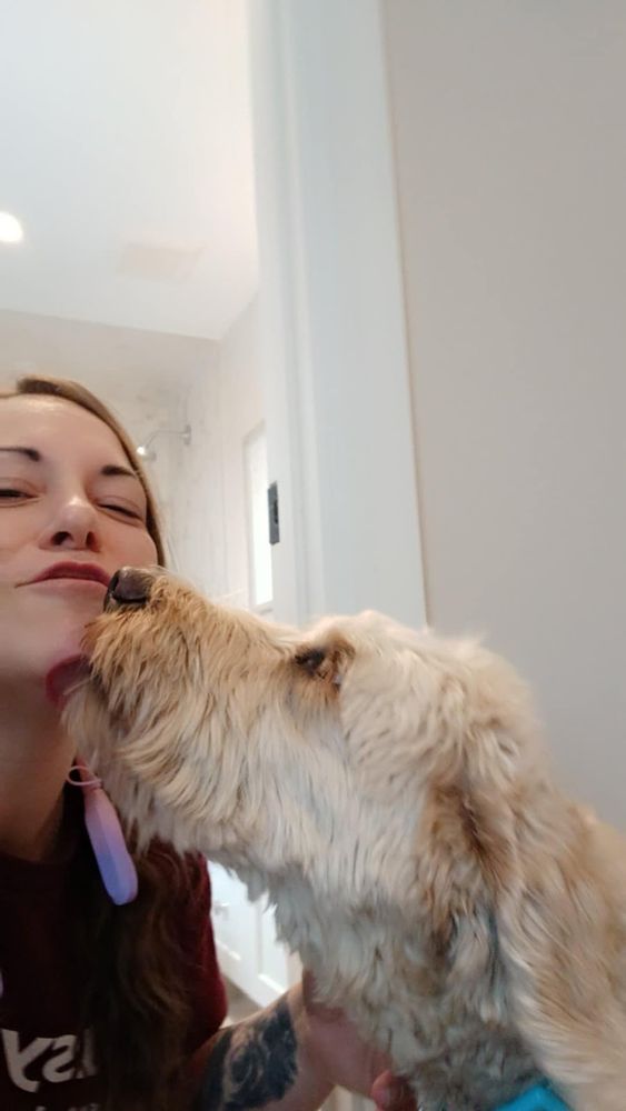 All Photos for Busy B's Professional Cleaning in Birch Run, MI