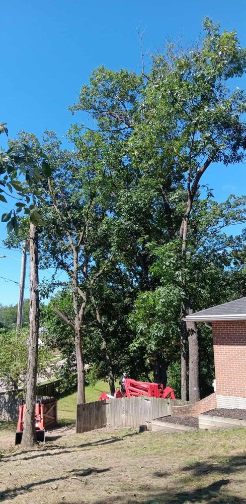 All Photos for Lawn Ranger Yard And Tree Service LLC in Ottumwa, IA