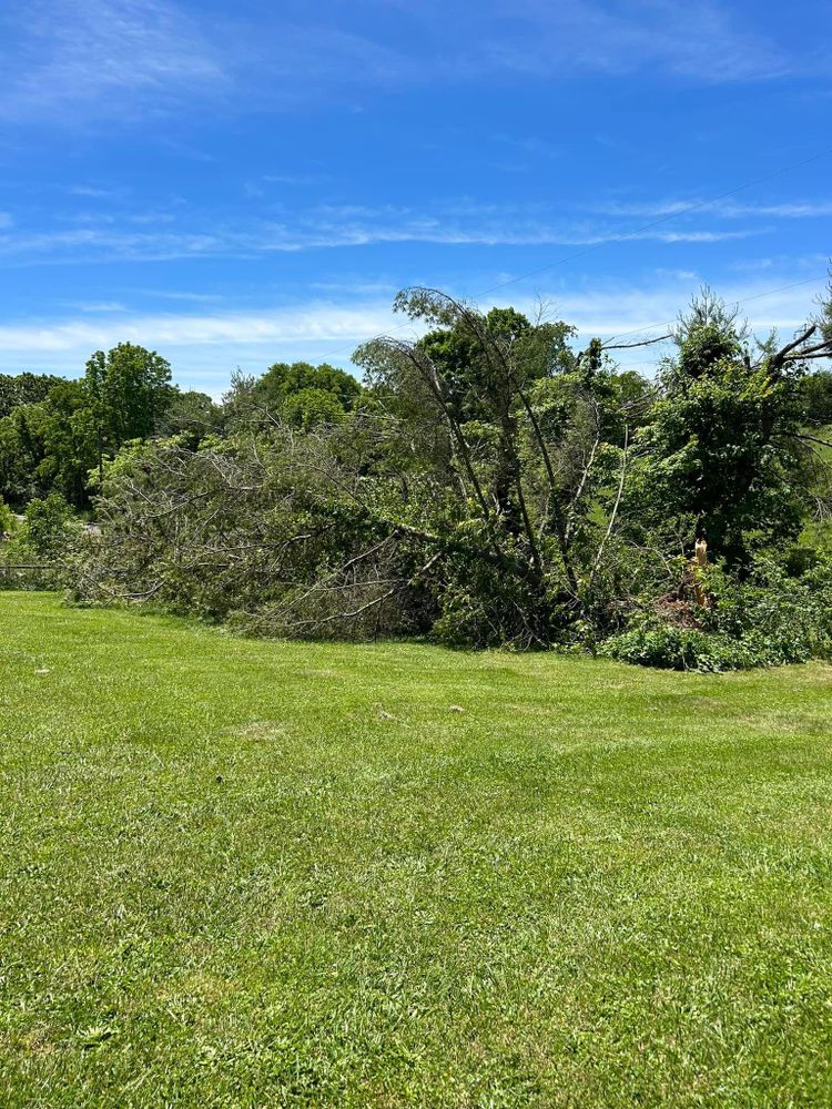 All Photos for NRV Tree Pro, LLC in Narrows, VA