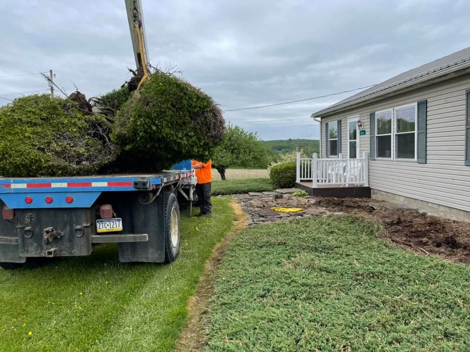 Tree Removal for Mad Tree Service in Cochranton, PA