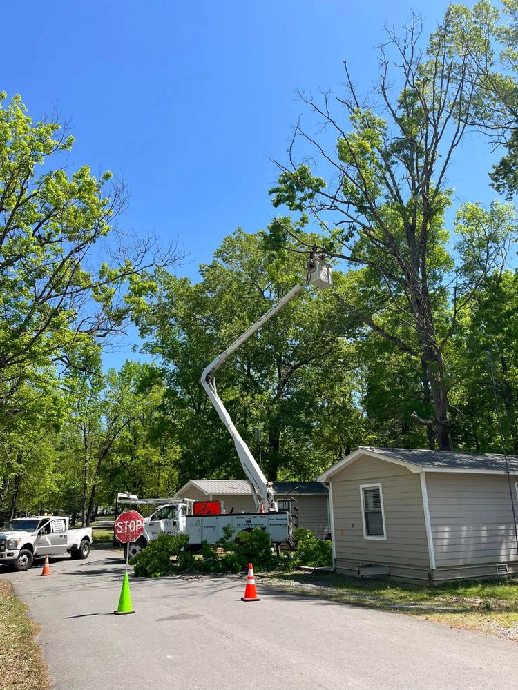 Tree Removal for Big Rock Tree Removal LLC in Boaz, AL