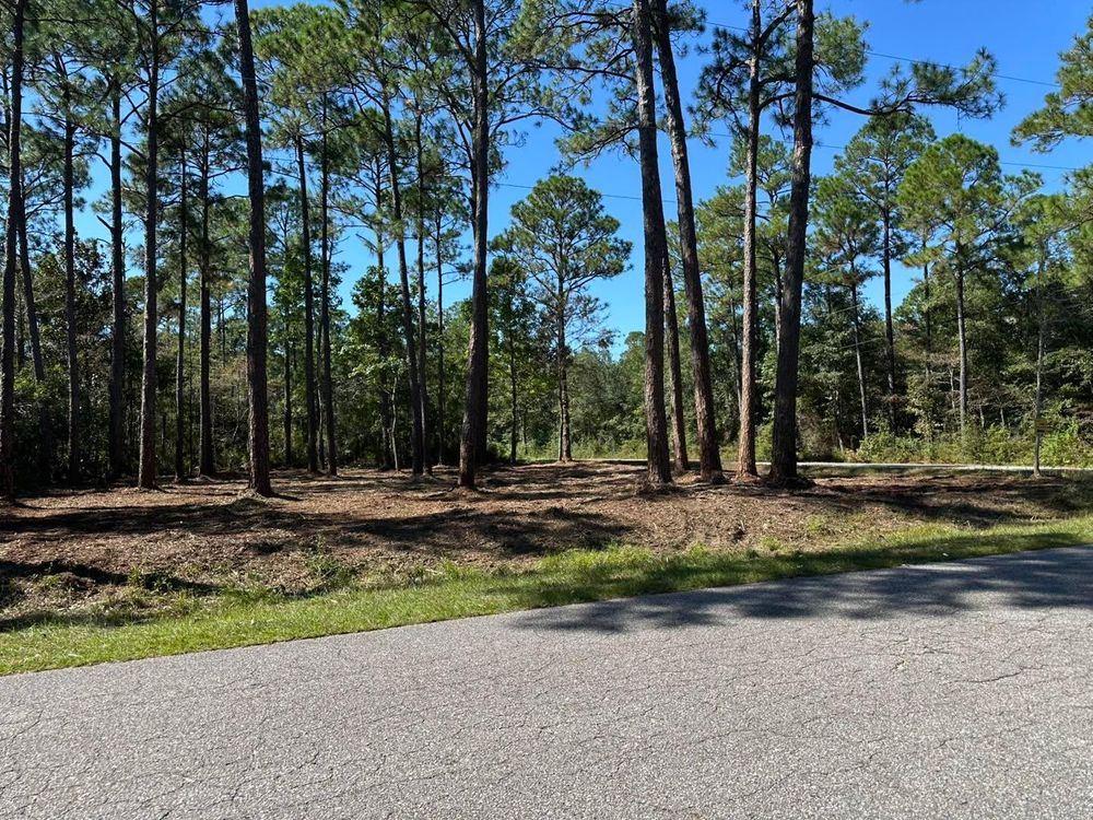 All Photos for White’s Land Maintenance in Milton,, FL
