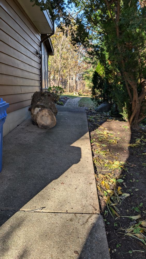 All Photos for TCB Lawn Care & Snow Removal in Sun Prairie, WI