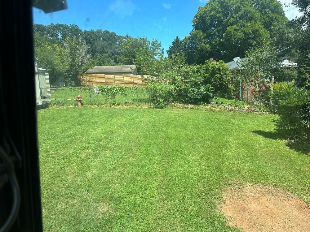 Shrub Removal  for Rescue Grading & Landscaping in Marietta, SC