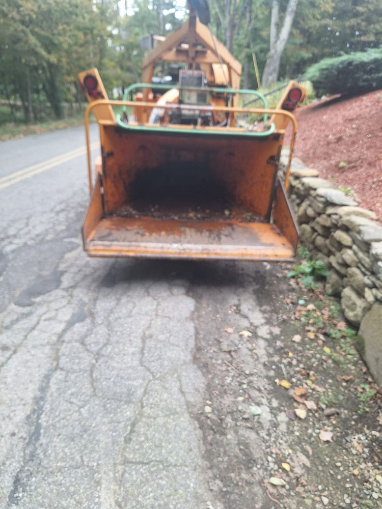 Tree Removal for Mitchell's Tree Service in North Brookfield, MA