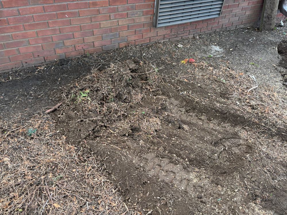 All Photos for Conrad's Stump Removal in Columbus, IN