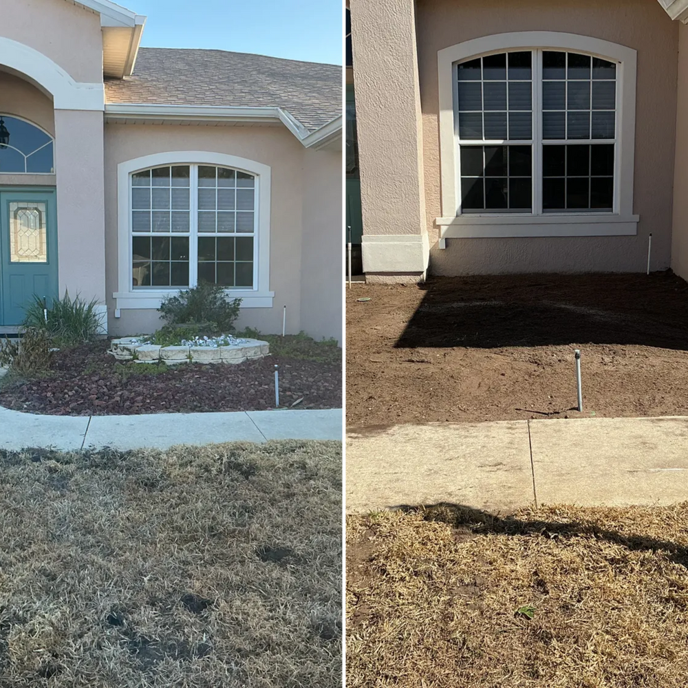 All Photos for Amerigrown Tree And Lawn in Apopka, FL