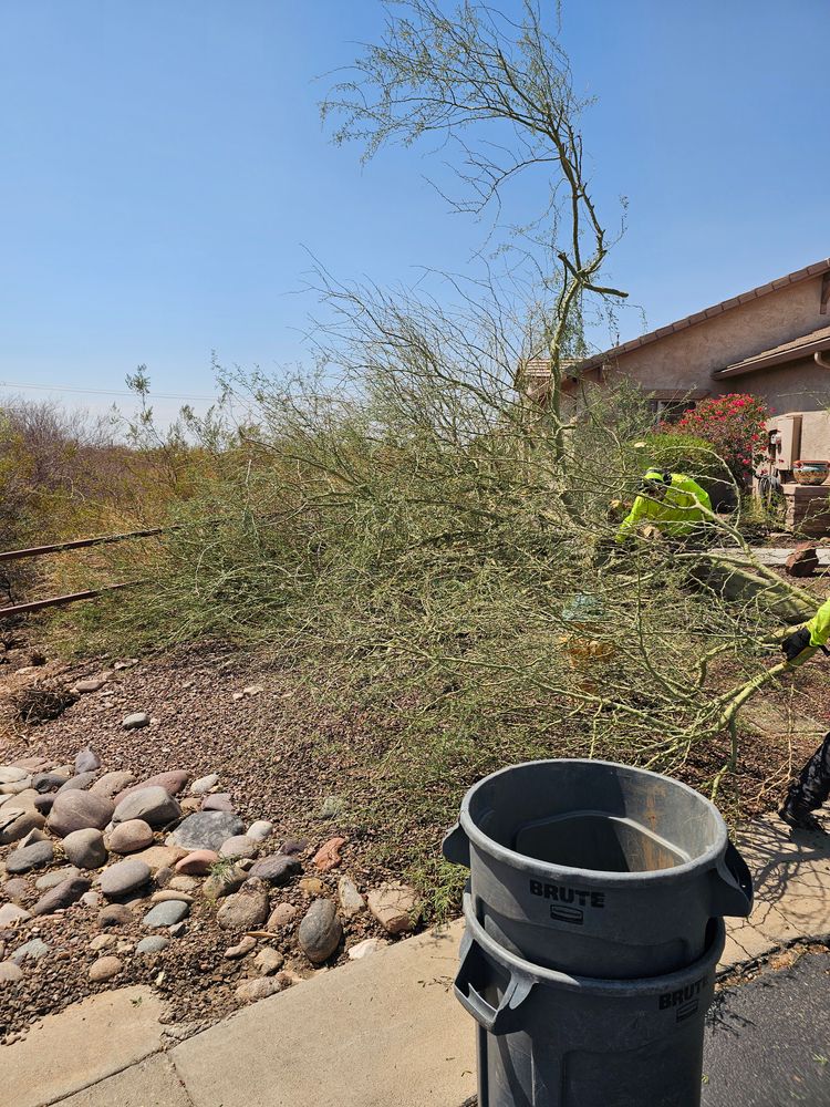 Our Tree Removal service ensures safe and efficient removal of unwanted or hazardous trees, protecting your property while enhancing landscape aesthetics. Trust our expert team for reliable and environmentally-friendly solutions. for T's Tree Service and Firewood in Apache Junction, AZ
