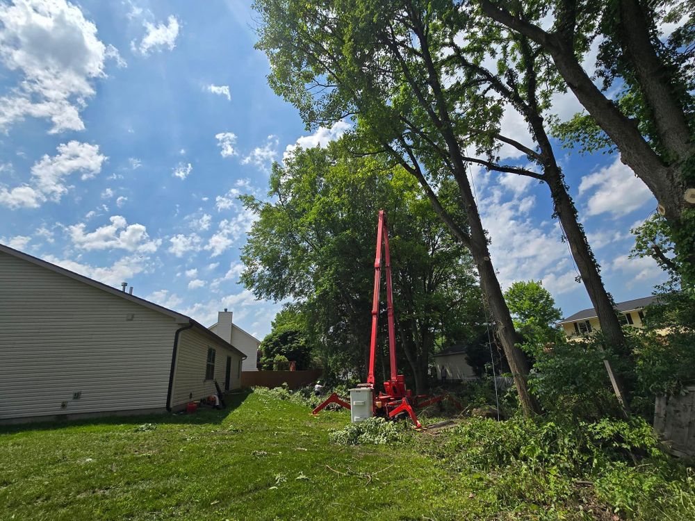 All Photos for F & F Tree Service in Beavercreek, OH