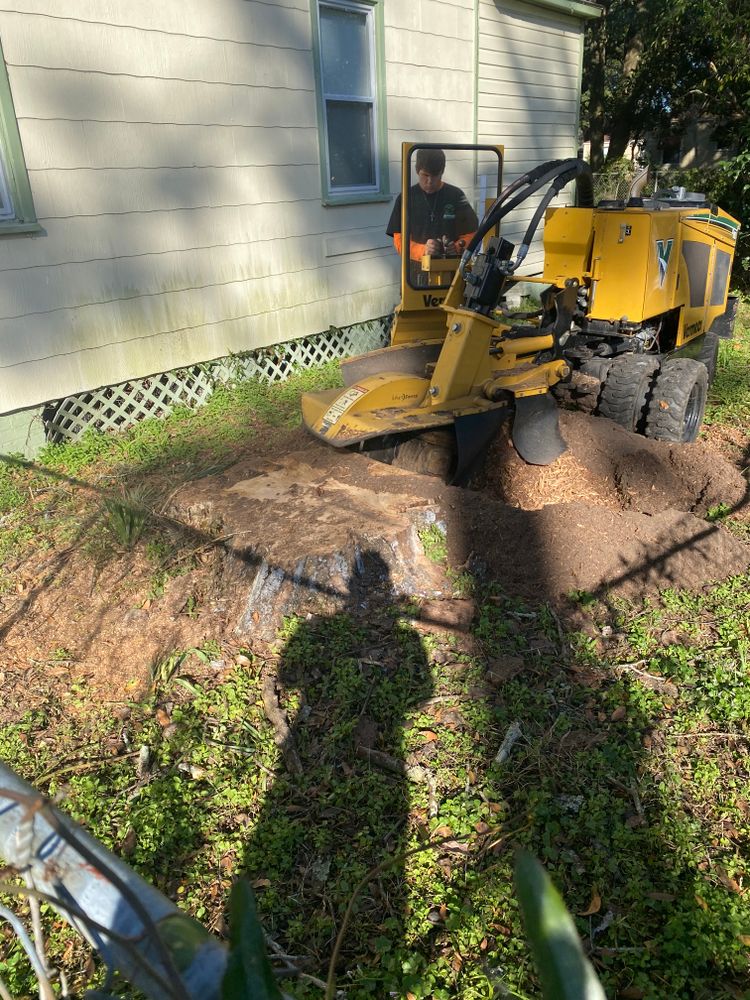 All Photos for Elite Tree & Landscape Services LLC in St. Augustine, FL