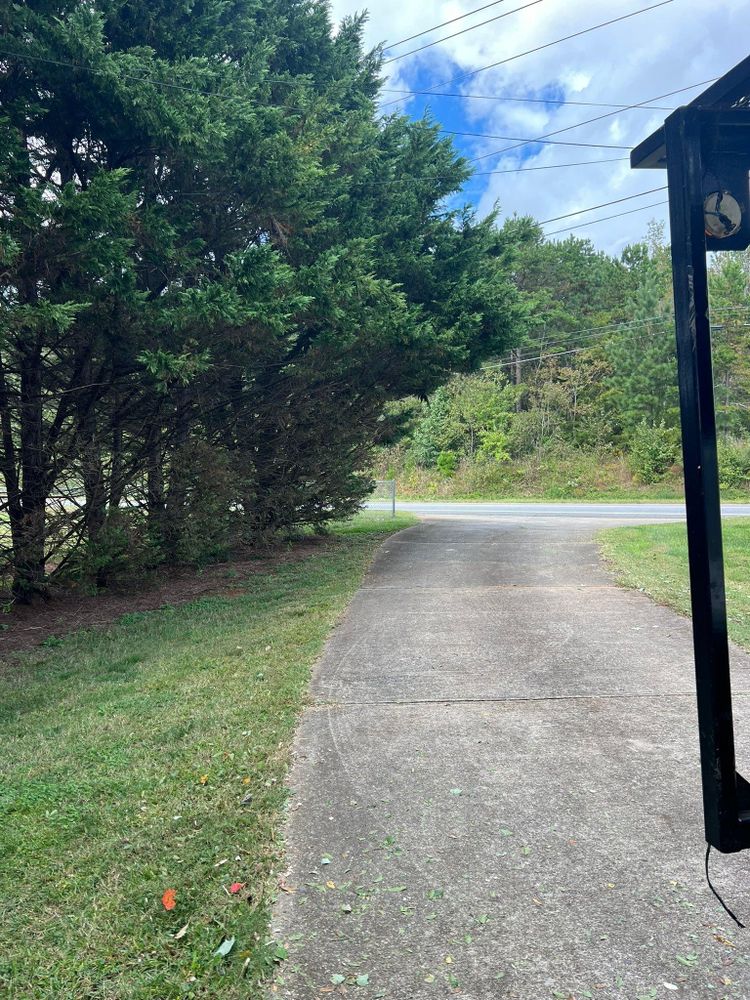 All Photos for Brooks Tree Service, LLC in Casar, NC