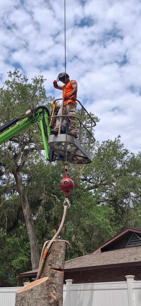 All Photos for Daniel Hickey’s Tree Service in DeLand, FL