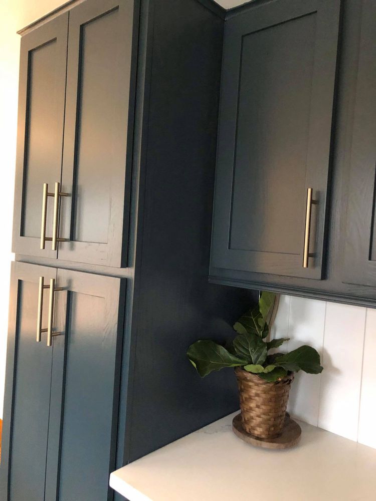 Interior Painting for Ekwood Finishes in St. Charles, IL