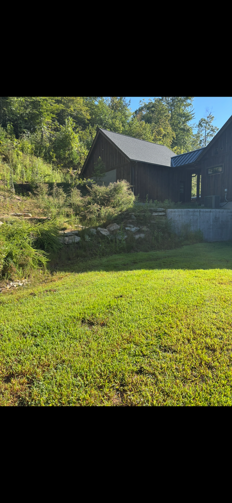 All Photos for Andy's Tree Service in Zirconia, NC