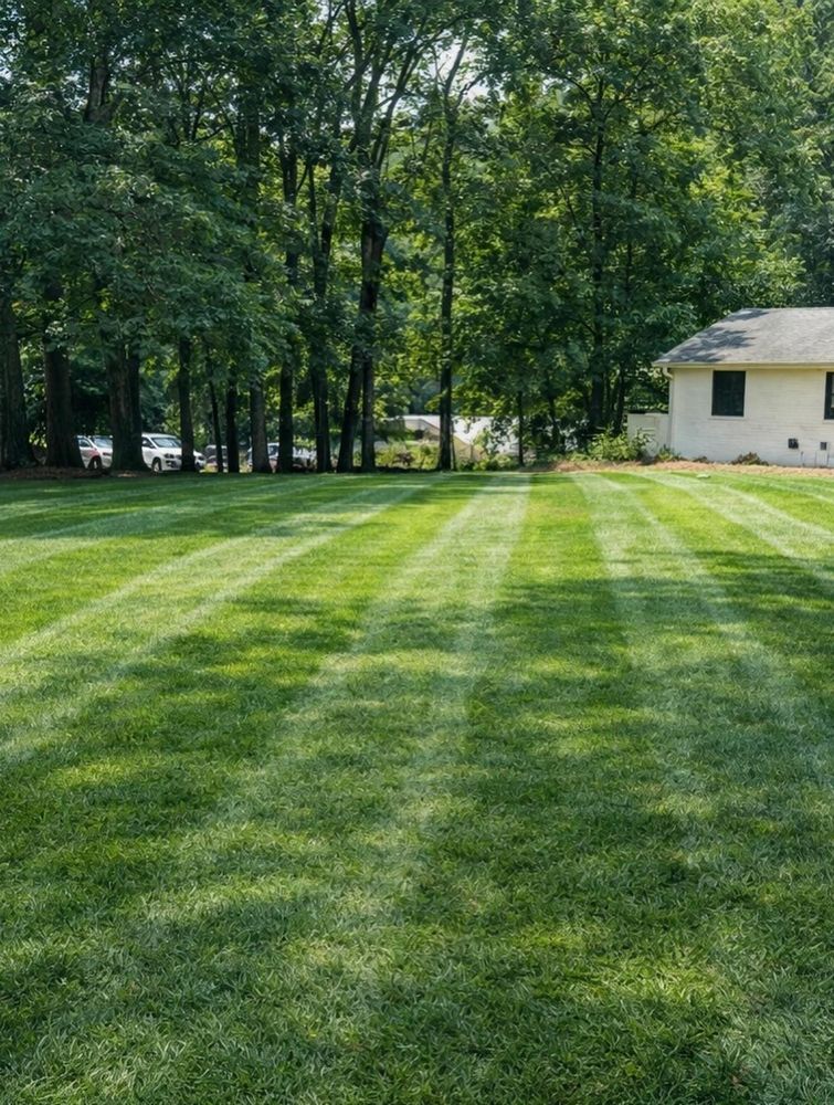 All Photos for Holloway Yard Company in Greensboro, NC