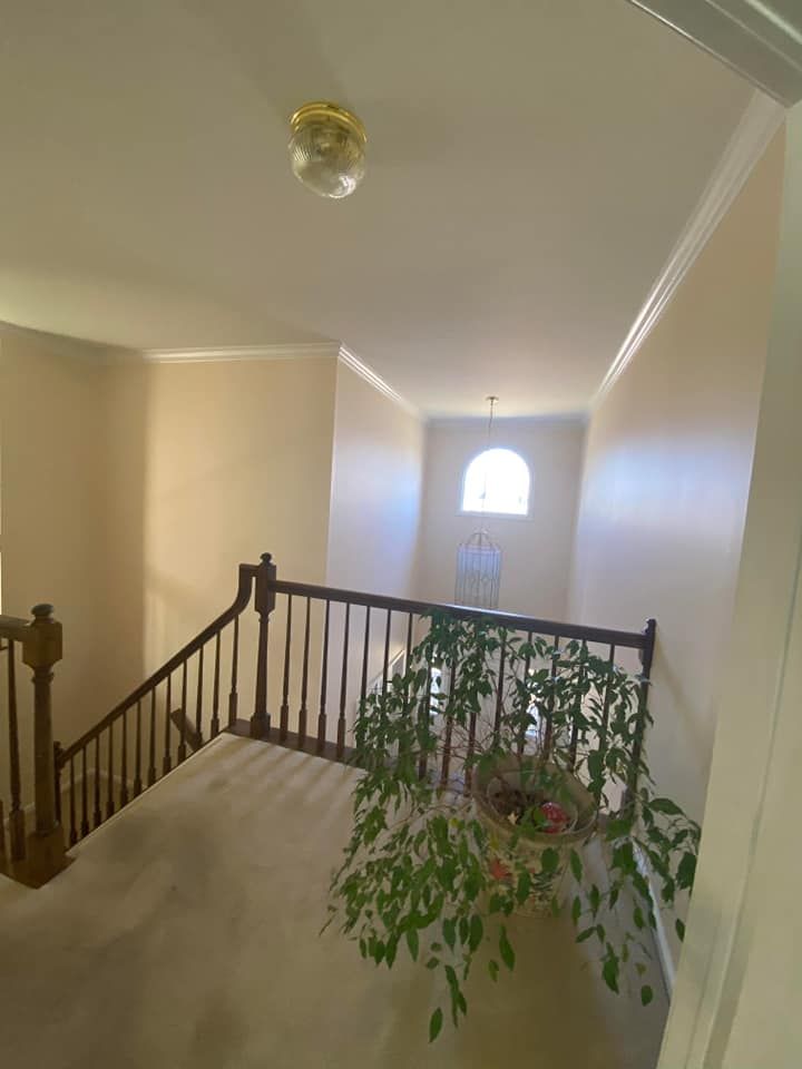 Interior Painting for Cascade Painting in Maple Glen, PA