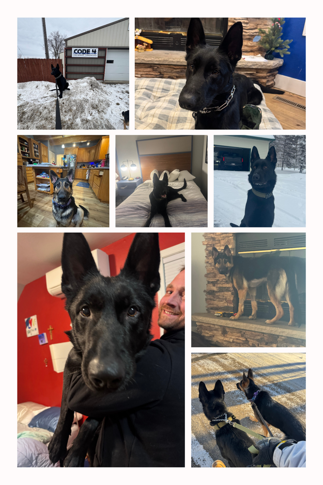 All Photos for Code 4 Defense in Pelican Rapids, MN