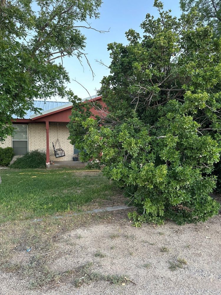 Other Services for Compas Cleanup in McCamey, TX