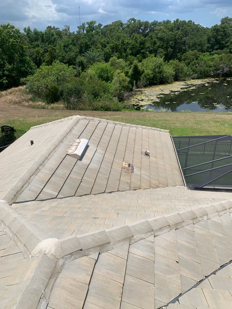 All Photos for Zachs Pressure Washing in Tampa, FL
