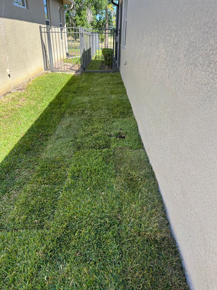 All Photos for Gulf Bay Sod in Clearwater, FL