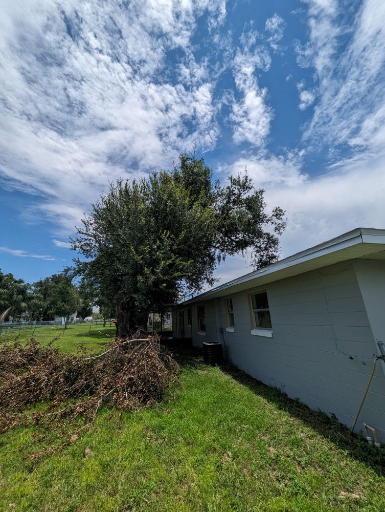 All Photos for Regal Tree Service and Stump Grinding in Wauchula, FL