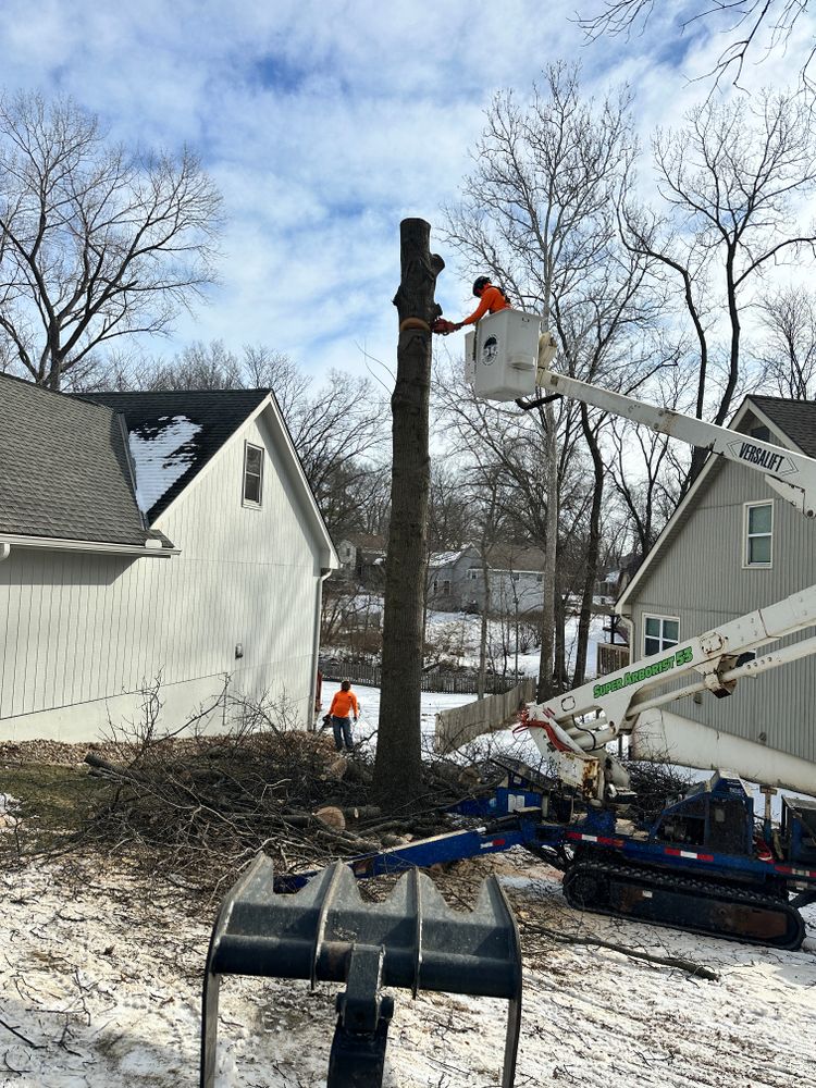 All Photos for Cross Family Tree Service in Kearney, MO